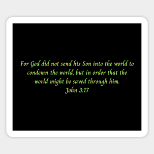 Bible Verse John 3:17 Magnet